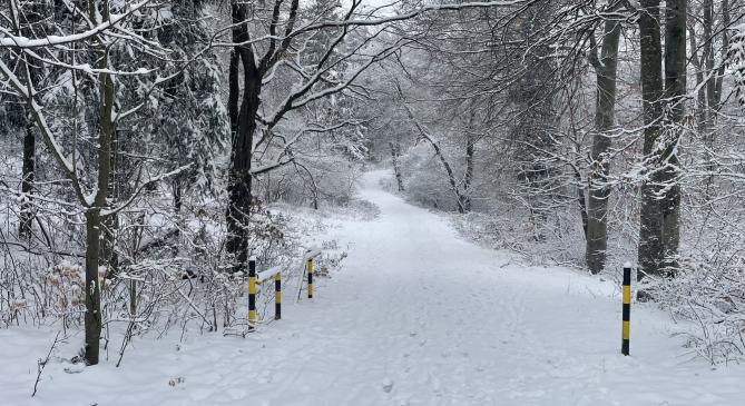 10 centis hótakaró fedte be a Soproni-hegységet