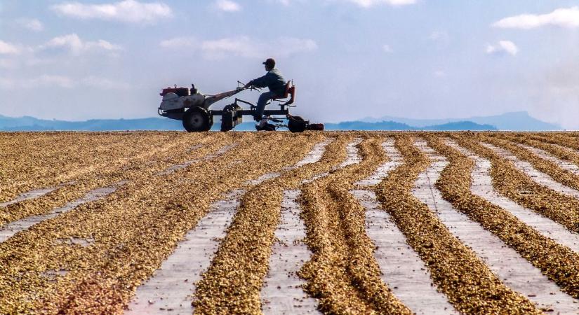 Soha nem volt még olyan drága a kávé, mint 2025-ben, és ez jó eséllyel már nem is lesz másként