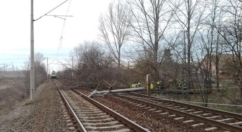 Figyelem! Rádőlt egy fa a sínekre, változás karácsonykor az újszászi vasúti vonalon!