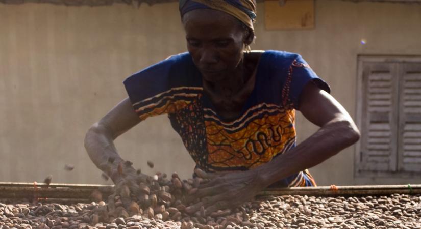 Lefeleződött a kakaó ára, de mikor fogjuk végre mi is érezni?