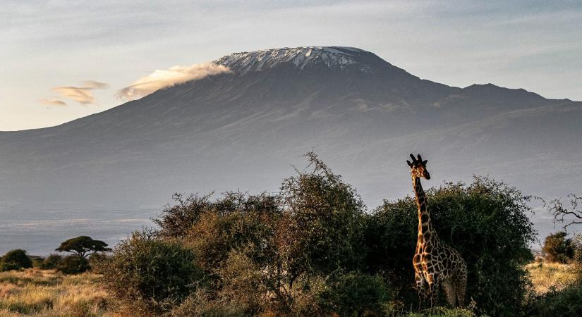Menteni akarták a cseheket, mindenki meghalt