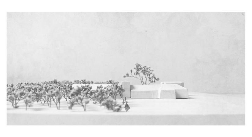 2025 TOP 10: A legolvasottabb diplomamunkák