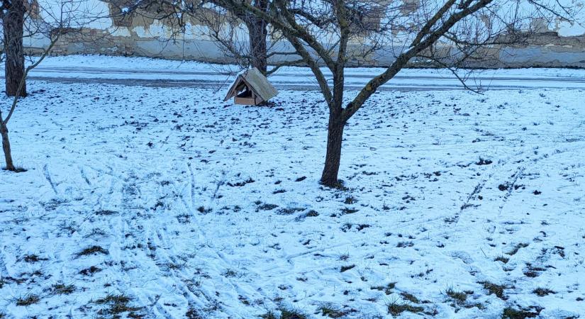 Nagy szükség lenne hóra és fagyokra