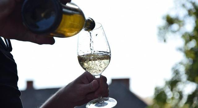 Idén a tavalyinál 10 százalékkal több újbor készült