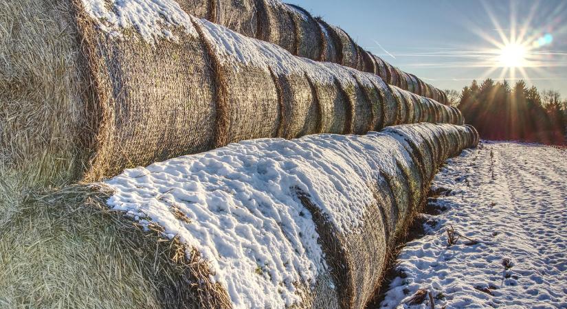 Időjárás: Esik-e valami a hétvégén?