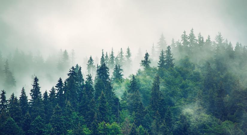 Időjárás 2025. december 26.: Kitart a gyenge szél és a ködszitálás