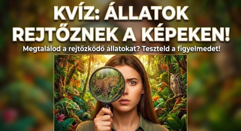 Kvíz: Vajon a szemed vagy az agyad csap be hamarabb ezeknél a rejtőzködő állatoknál?