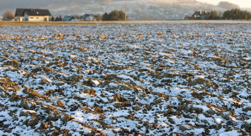 Bőséges termés jövőre? Most tehetsz érte!