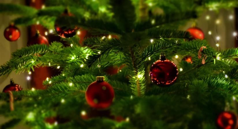 Bajnokaink kívánnak boldog karácsonyt olvasóinknak