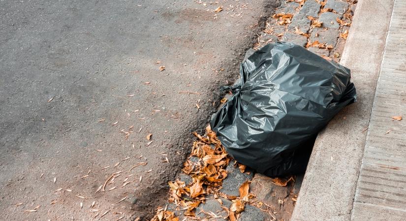 Egy zsák aranyat talált az utcán két fiú: amit ezután tettek, hihetetlen