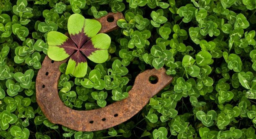 Ezeken az újévi babonákon múlhat, milyen lesz az egész éved