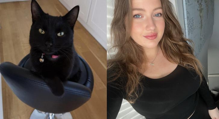 Öt éven át az eltűnését gyászolták, karácsonykor váratlanul előkerült a macska