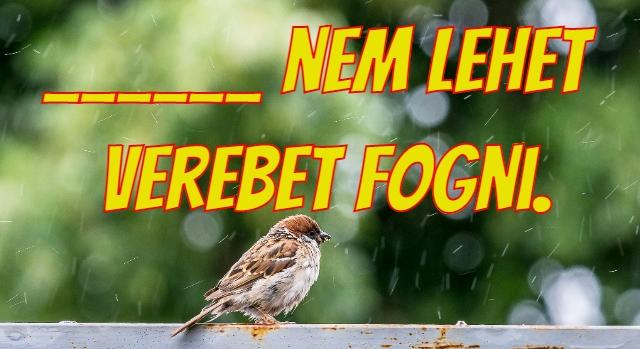 Napi közmondás feladat: Régi magyar bölcsesség, amit ma is érdemes megfogadni.