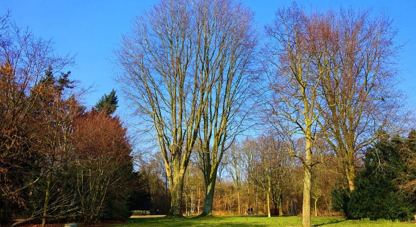 Naposan telik december utolsó hétvégéje