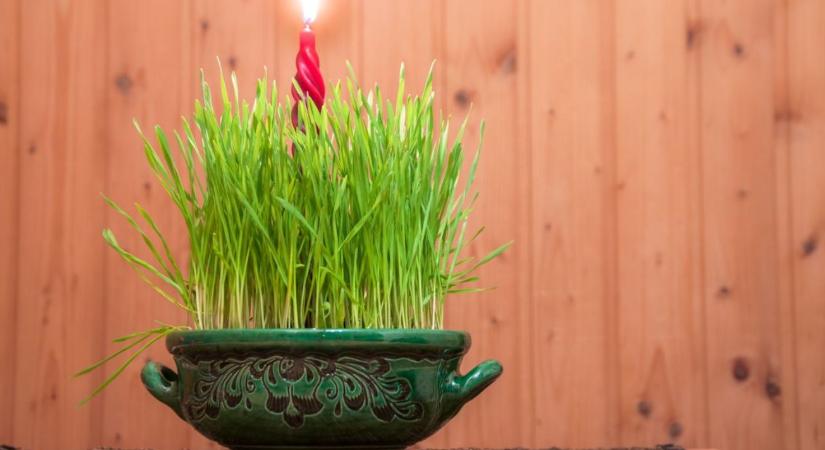 Karácsonyi asztal és agrármágia – így jósoltak időjárást és termést eleink