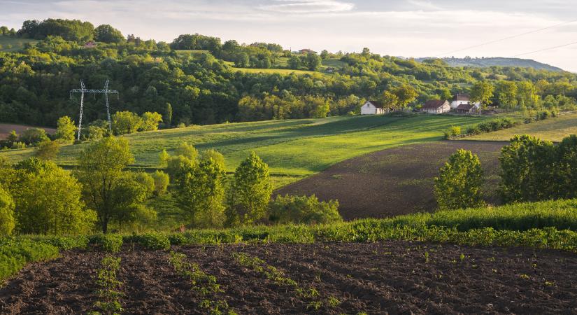 80 éves törvényekkel veszik el a szlovákiai magyarok földjeit, lemondott a nemzetiségi tanácsadó