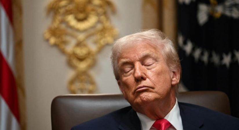 Jimmy Kimmel bocsánatot kért a britektől Donny király miatt