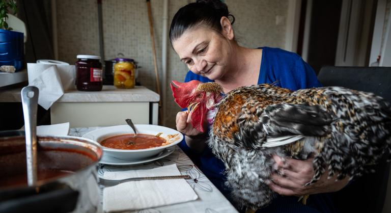 Aminek neve van, azt nem esszük meg