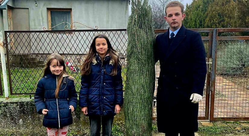 Erről szól az ünnep: kiosztották az összes karácsonyfát