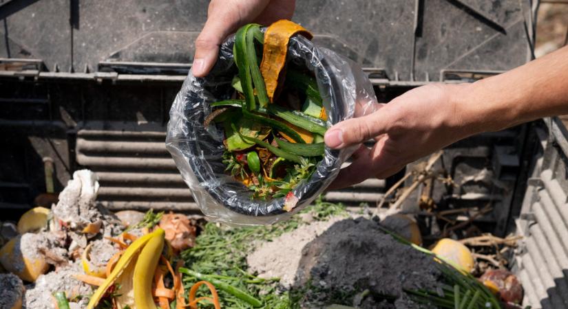 A komposztálás télen is működik, mutatjuk hogyan