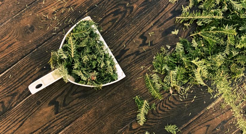 Ezek a csillagjegyek örülnek, hogy vége a karácsonynak