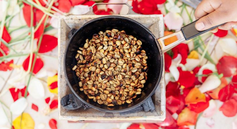 Klímatűrő alternatíva a szántóföldeken: a földimogyoró lehet az egyik nyertese az éghajlatváltozásnak