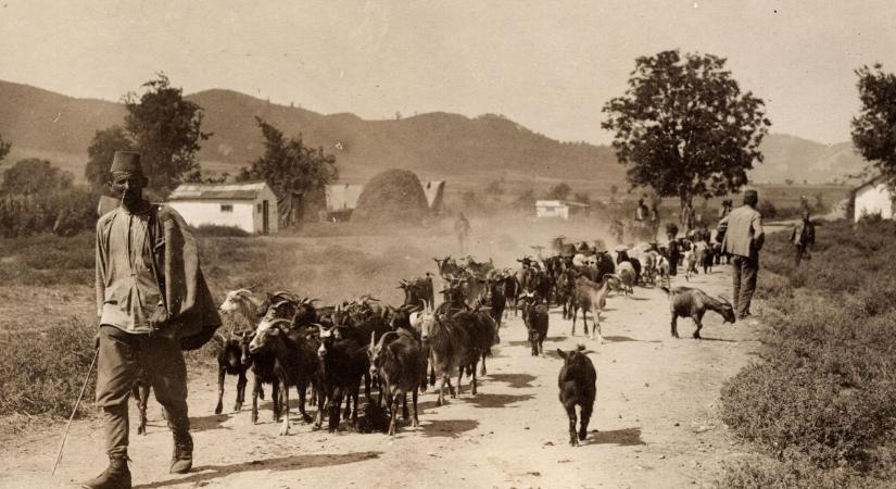 Kvíz: Kinek mi volt a dolga? – 10 elfeledett mesterség, amit ma kevesen ismernek