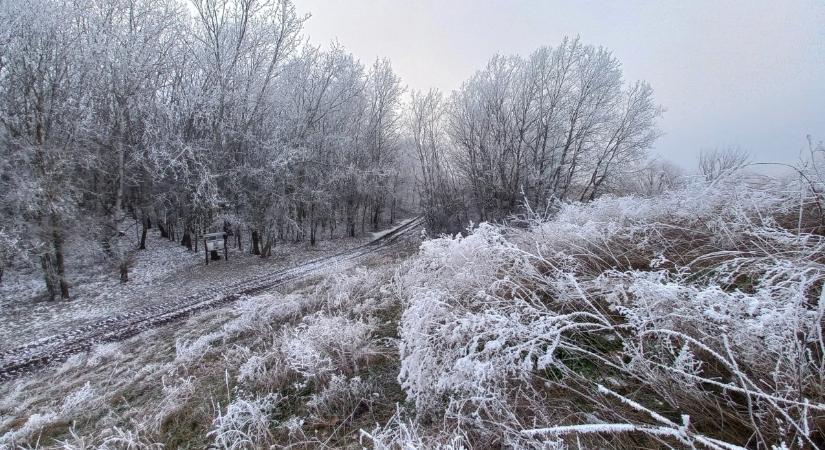 A Maros-ártér télen is izgalmas látnivalókat tartogat
