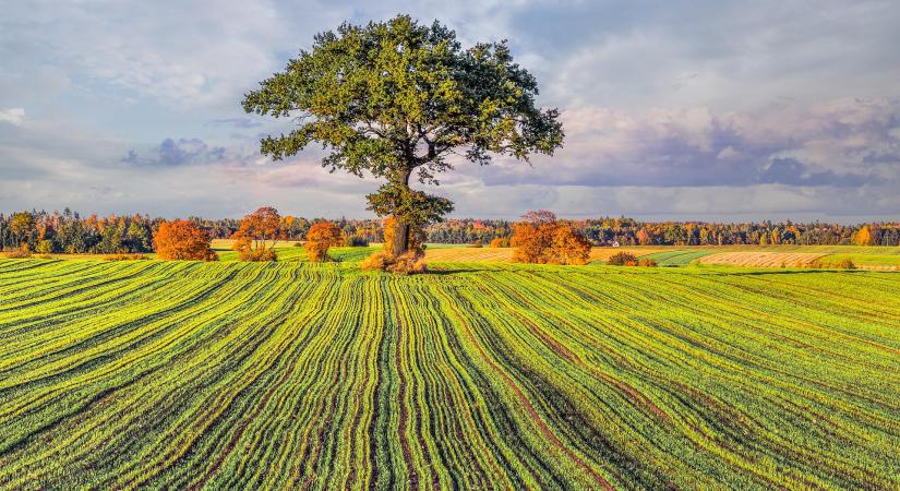 Agrárminisztérium: nem nyílt meg a termőföldpiac a tőkealapok előtt