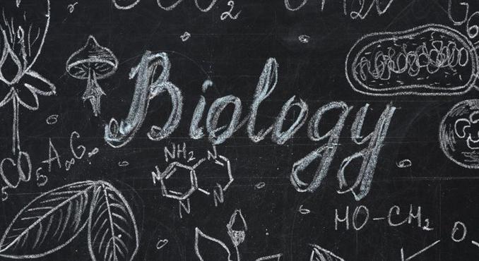 Mutatjuk a 2026-os emelt szintű biológiaérettségi tájékoztatóját