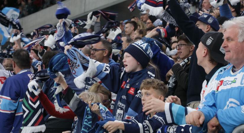 Az Anyaotthont lehet támogatni a mai Fehérvár AV19 mérkőzésen