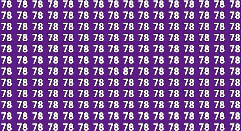 Lehetetlen IQ-teszt: csak az emberek 1 százaléka oldja meg