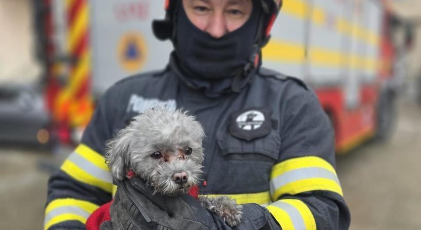 Lakástűz: Több tucat lakó kimenekült – Kiskutyát mentettek a lángok közül