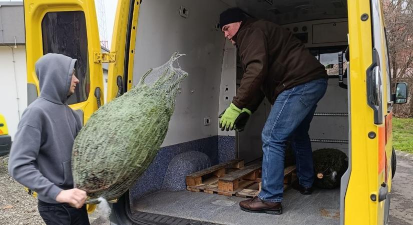 13 mentőállomás fáit szállították