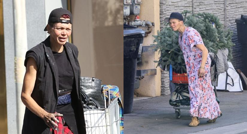 Sokkoló fordulat: hajléktalanként él ma az egykori Baywatch-szépség, Loni Willison