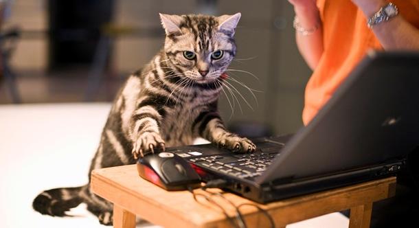 Ukrajnában január 7-ét a Programozók Napjává való nyilvánítását javasolják