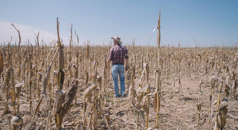 Szemléletváltás nélkül nem megy: a mezőgazdaság a klímaváltozás nagy vesztese