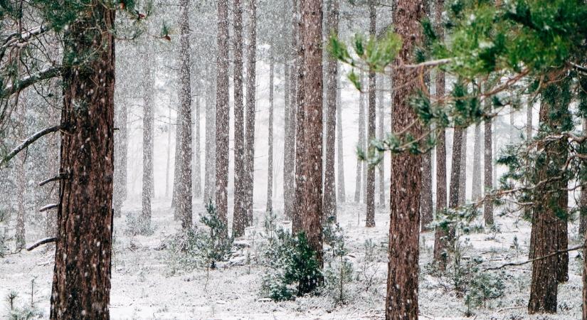 Napi horoszkóp – december 27., szombat