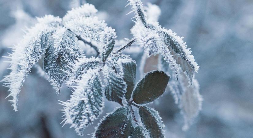 Időjárás: derült éjszaka, köddel indulhat a szombat VIDEÓ