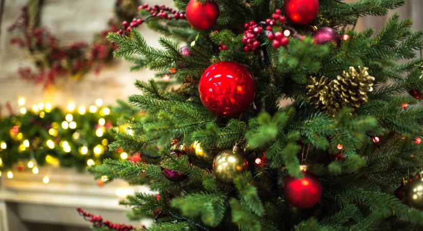 Még nem késő! Várjuk a karácsonyfákról készült fotókat!