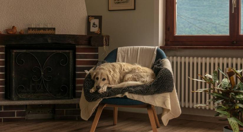 Akár 10 fokkal melegebb lehet a lakásod egyetlen 5 másodperces szokással – fűtés nélkül