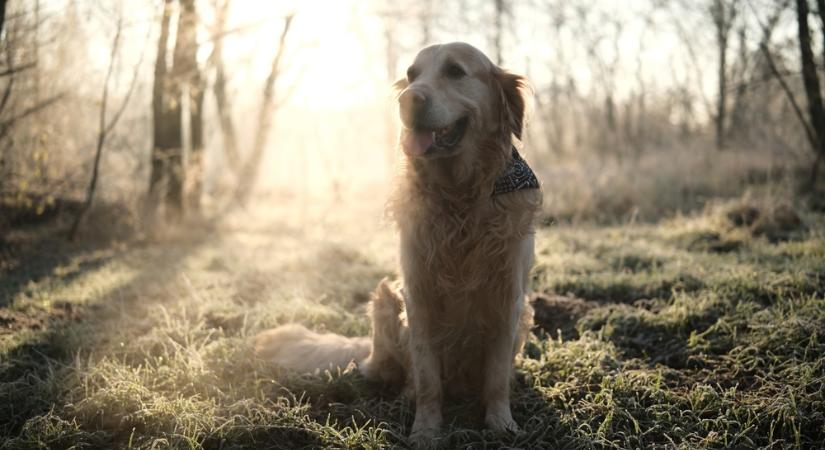 Fagyos éjszaka után szeles nap jön