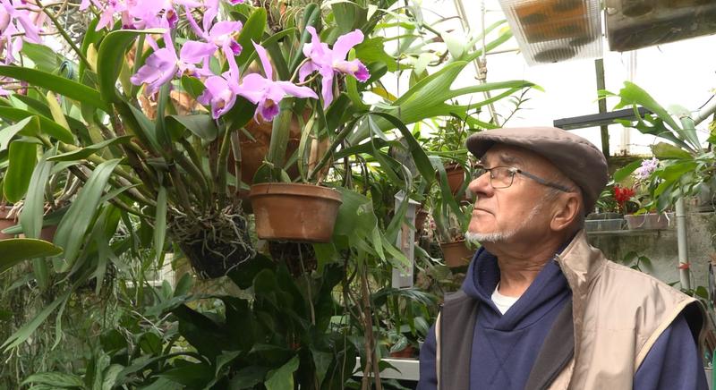 Orchideák birodalma