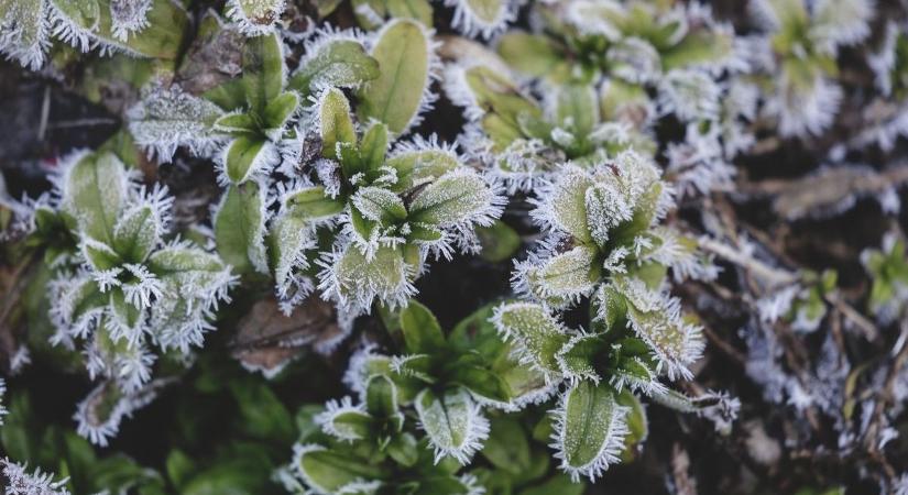 Fagyosan indul a szombat reggel Hevesben, de mit hoz a nap többi része?