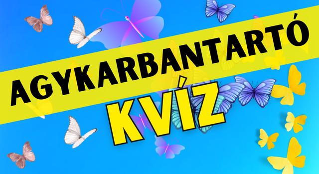 Napi agykarbantartó: Teszteld a memóriádat ezekkel a gyönyörű lepkékkel!