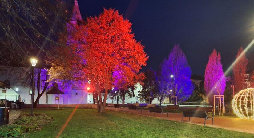 Fénybe borult a belváros, fotókon Hódmezővásárhely karácsonyi díszei (galéria)
