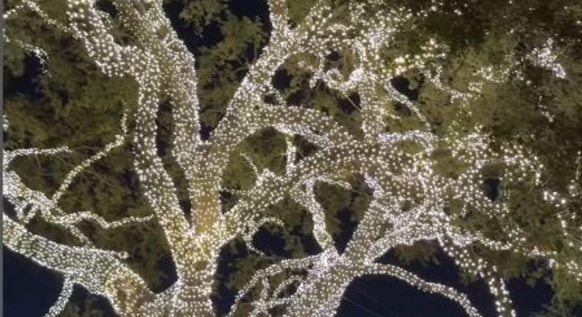 Filmbe illő helyszíneket mutatott követőinek Polgár Kriszta