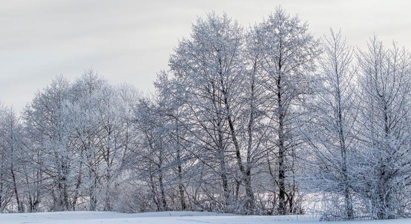 Nagy szükség lenne a földeken a hóra és a hidegre