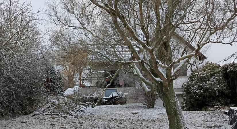 Fehér karácsony a Fertő-parton