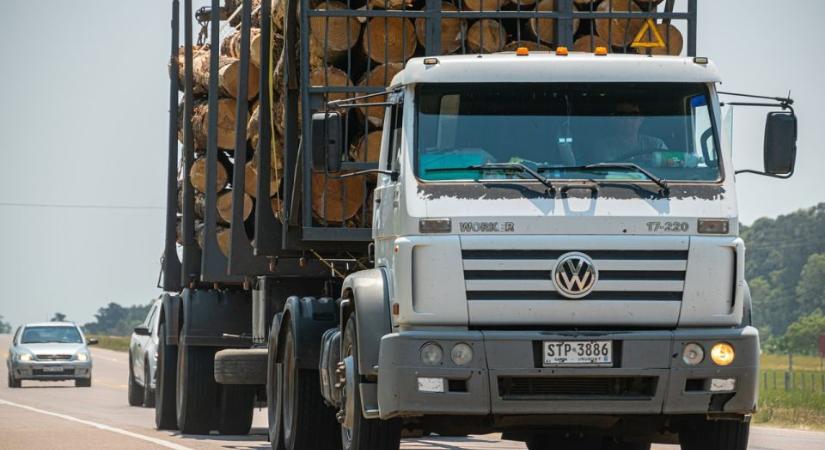 Mégsem lesz útdíj januártól a főutakon